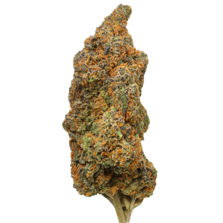 Specimen X - THCA