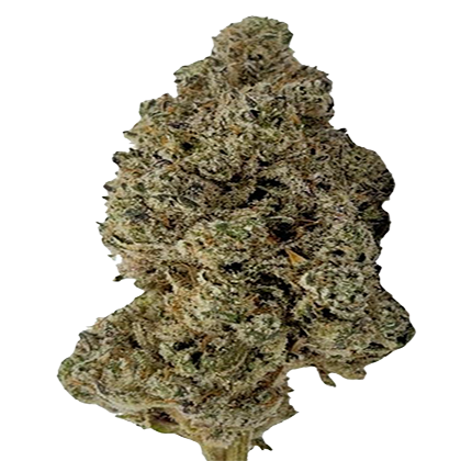 Baby Yoda - THCA