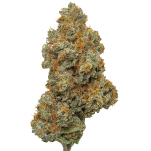 Northern Lights - THCA