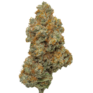 Northern Lights - THCA