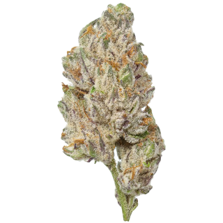 Roseanna - THCA